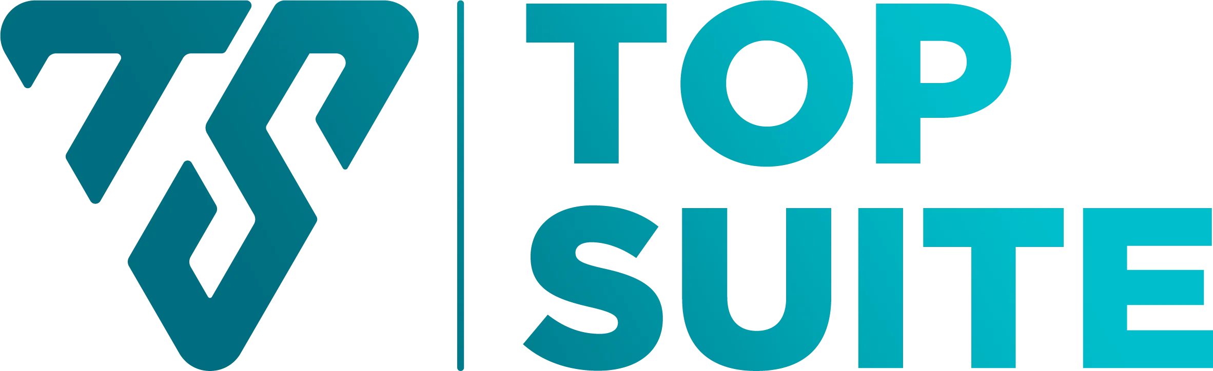 Top Suite - Web in 24